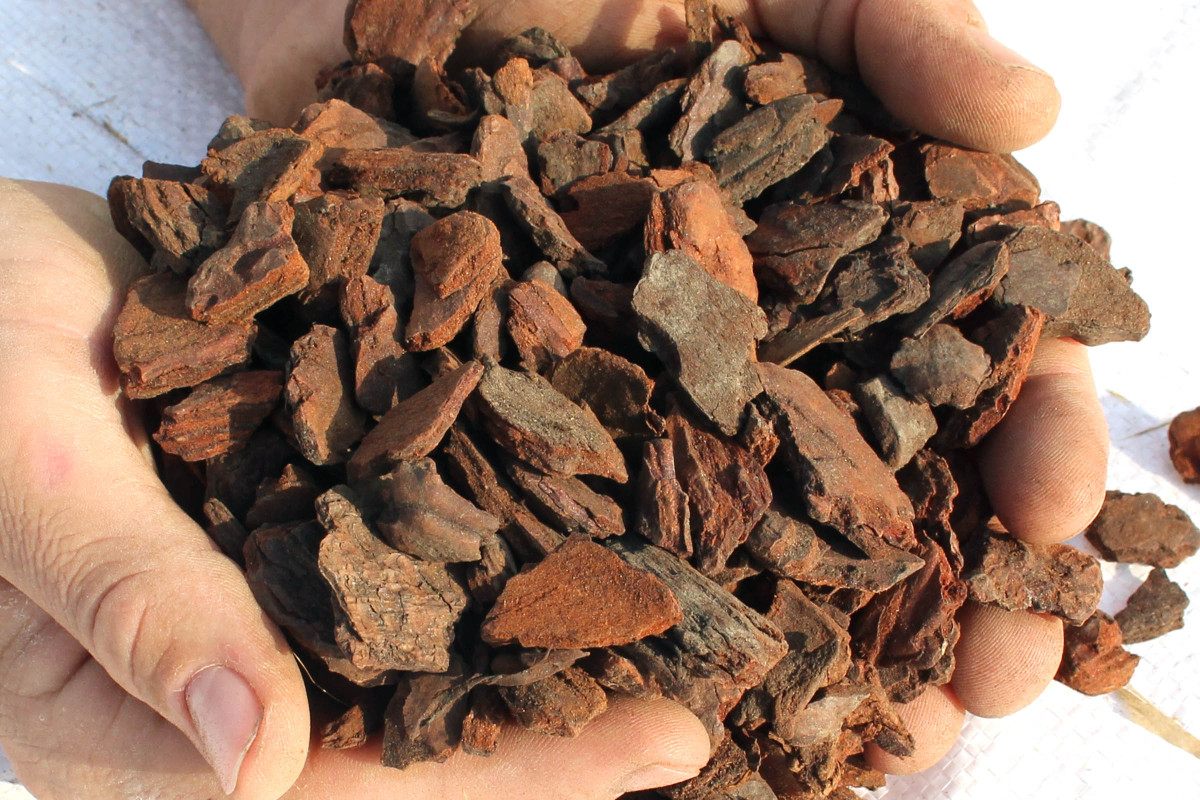 Premium Maritime Pine Bark 1525mm Premium Topsoil Supplies